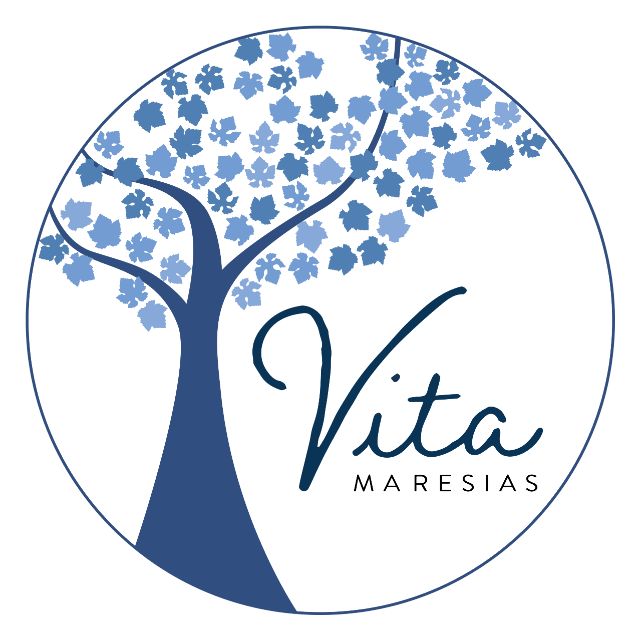 logo-viita